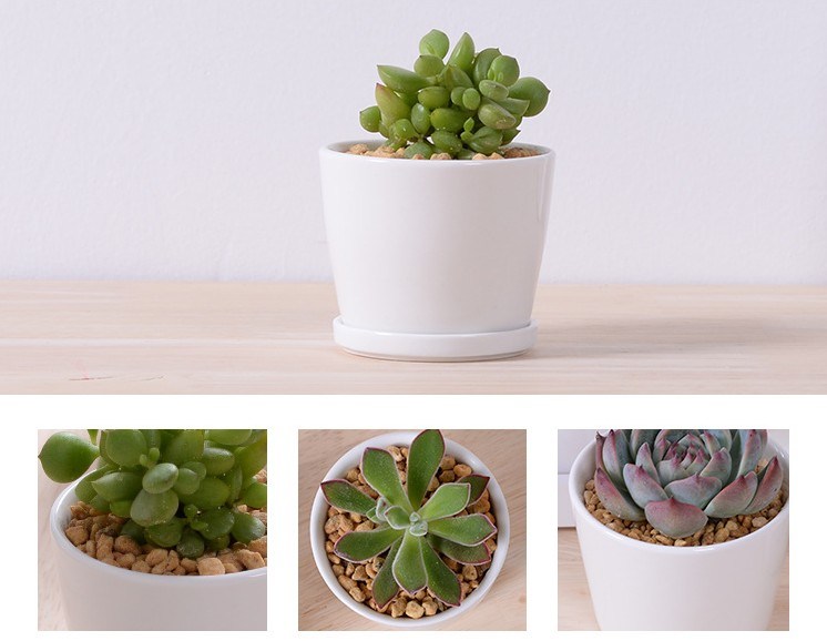 Mesa de lazer Vaso de flor pequeno redondo de cerâmica