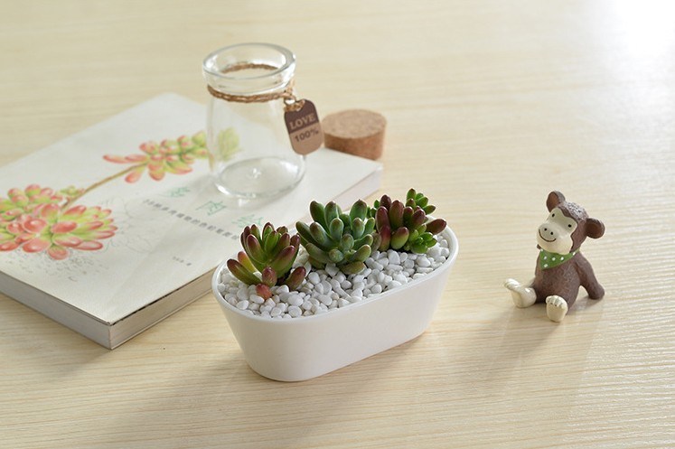 Mesa Mesa Café Tipo Vaso Cerâmico Ganso Branco