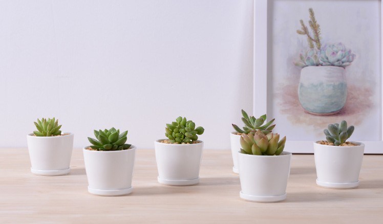 Mesa de lazer Vaso de flor pequeno redondo de cerâmica