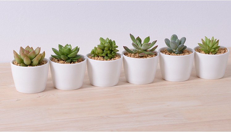 Mini vasos de flores de cerâmica branca decorativa redonda