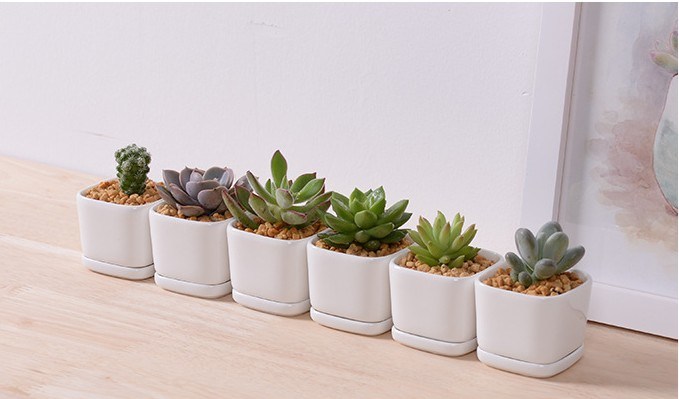 Personalidade Moda Cerâmica Branca Porcelana Base Vaso
