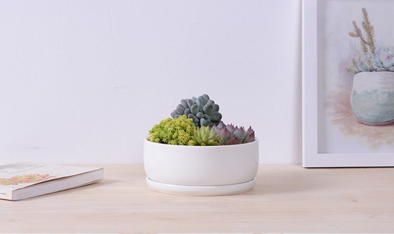 Base circular com grande vaso de cerâmica branca