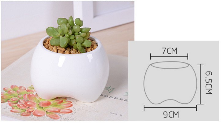 Vaso de cerâmica branco em forma de dente pequeno de marfim