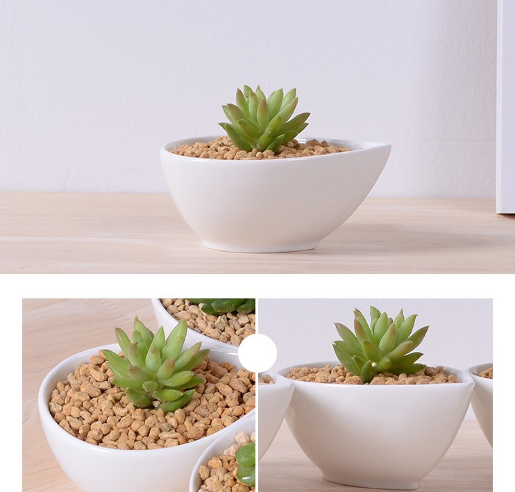 Adorno Característica Personalidade Mesa Com Flores Brancas Pote Pequeno