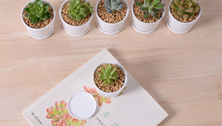 Mesa de lazer Vaso de flor pequeno redondo de cerâmica