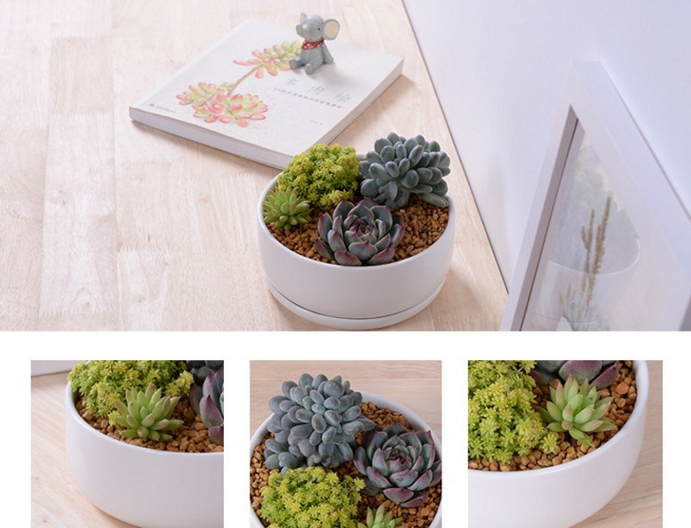 Base circular com grande vaso de cerâmica branca