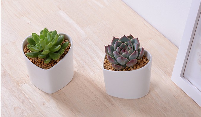 Características decorativas Vaso de flores brancas em forma de coração em forma de pêssego