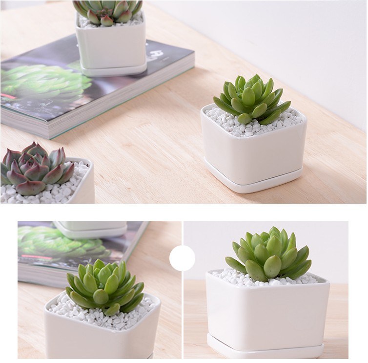 Vaso Quadrado Branco Contendo Base