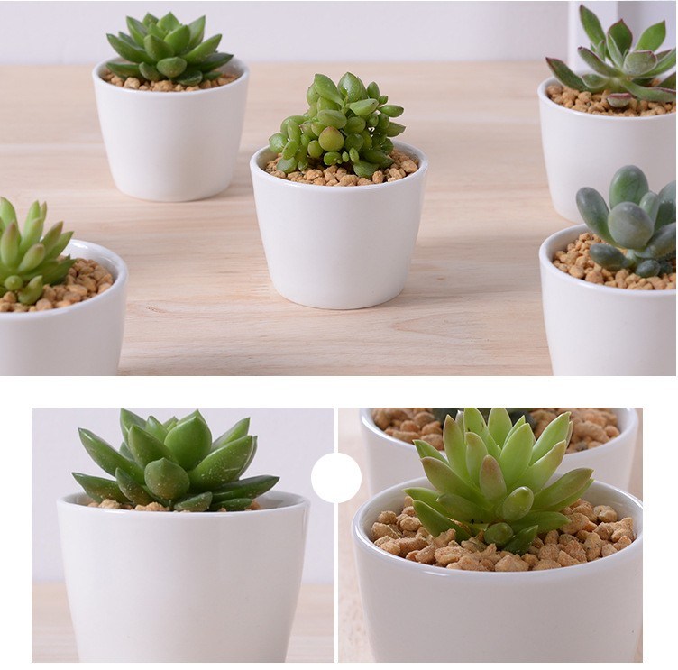 Mini vasos de flores de cerâmica branca decorativa redonda
