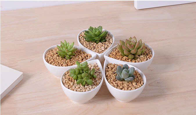 Adorno Característica Personalidade Mesa Com Flores Brancas Pote Pequeno