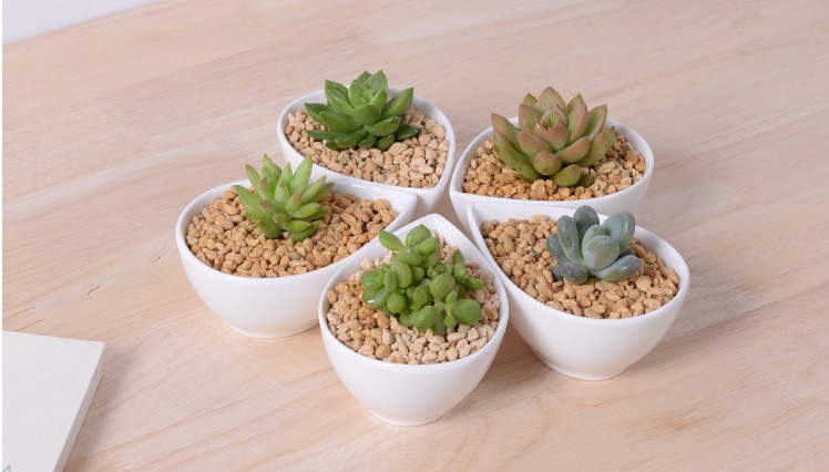 Adorno Característica Personalidade Mesa Com Flores Brancas Pote Pequeno