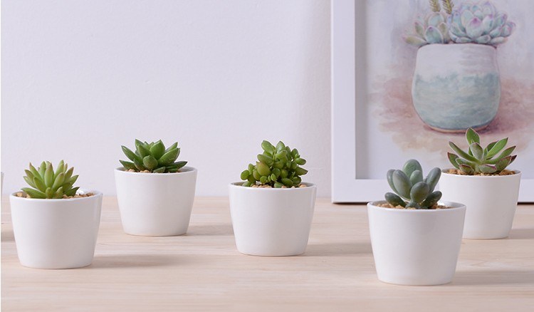 Mini vasos de flores de cerâmica branca decorativa redonda