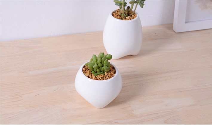 Vaso de cerâmica branco em forma de dente pequeno de marfim