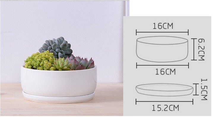 Base circular com grande vaso de cerâmica branca