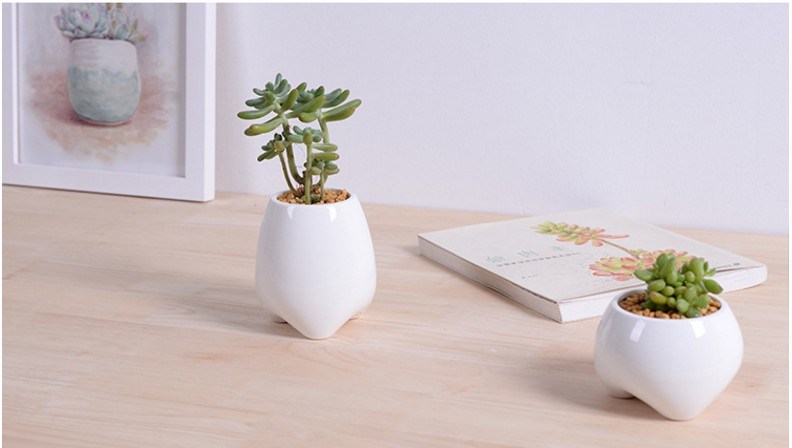Vaso de cerâmica branco em forma de dente pequeno de marfim