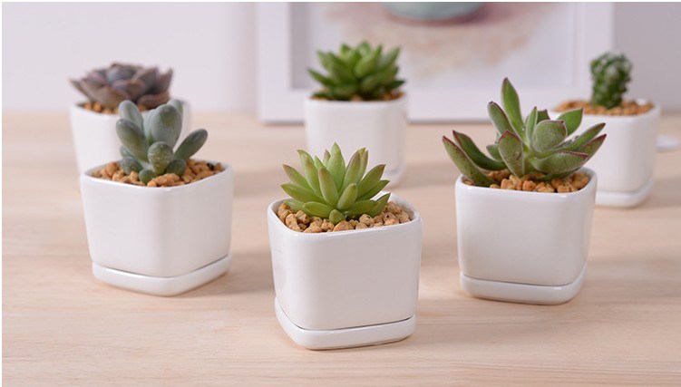 Personalidade Moda Cerâmica Branca Porcelana Base Vaso