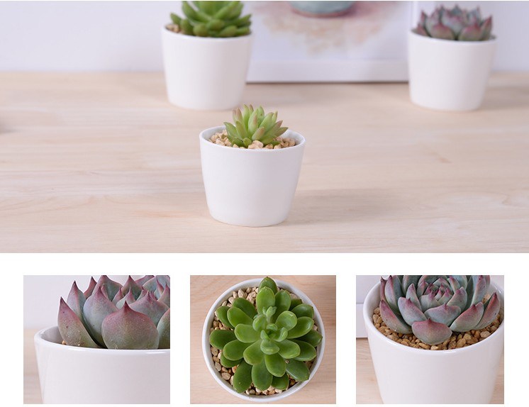 Grande Rodada Mini Vaso de Cerâmica Pequeno