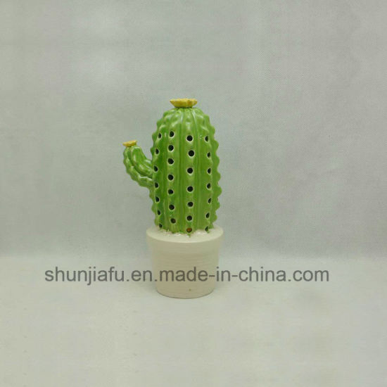Mobiliário doméstico em cerâmica para família de cactos