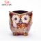 Vaso de cerâmica de porcelana de plantador de coruja de cerâmica dos desenhos animados / B