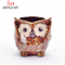 5 Design De Cerâmica Dos Desenhos Animados De Cerâmica Coruja Porcelana Animal Vaso De Flores / C