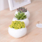 Mini Desktop Mini Vaso de Cerâmica