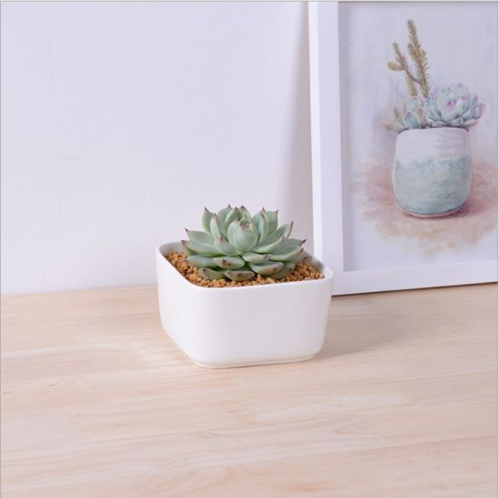 Mesa Mesa Café Com Vasos Vasos Cerâmicos Brancos Grandes