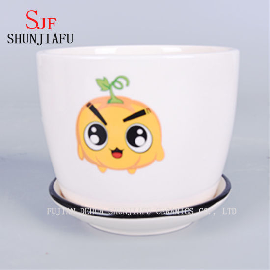 Vaso Cerâmico Plantas Suculentas Vaso Interior Exterior