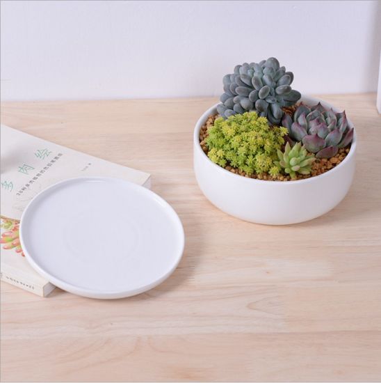 Mesa de lazer com 5 potes de cerâmica com estrutura de treliça
