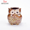 Vaso de flores de cerâmica coruja plantador