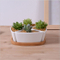 Vaso triangular de cerâmica branca com base de bambu