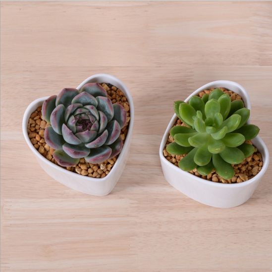 Adorno Característica Personalidade Mesa Com Flores Brancas Pote Pequeno