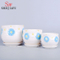 Vaso de plantador gigante branco e azul da margarida Design Saucer