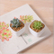 Decoração de mesa criativa Mini vaso de flores de cerâmica redonda branca