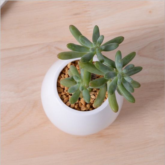 Marfim personalidade criativa moda vaso de flores de cerâmica