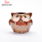 5 Design De Cerâmica Dos Desenhos Animados De Cerâmica Coruja Porcelana Animal Vaso De Flores / C