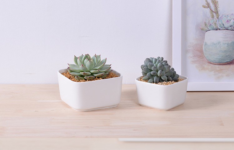 Mesa Mesa Caf&eacute; Circular Grande Cer&acirc;mica Branca Vaso