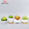 Vaso de flores suculento redondo branco cerâmico de design simples