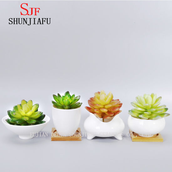 Vaso de flores suculento redondo branco cerâmico de design simples
