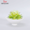 Vaso de flores suculento redondo branco cerâmico de design simples