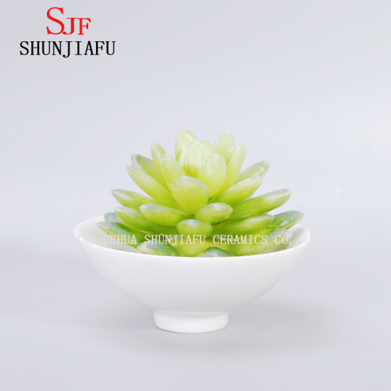 Vaso de flores suculento redondo branco cerâmico de design simples
