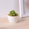 Mini Desktop Mini Vaso de Cerâmica