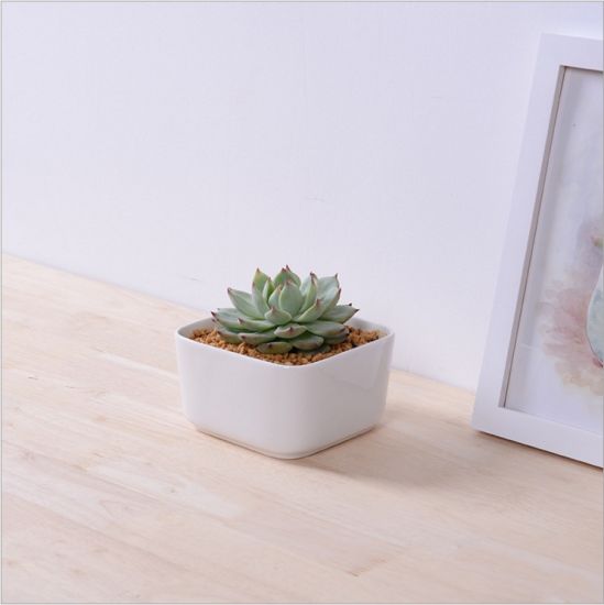 Mesa Mesa Café Com Vasos Vasos Cerâmicos Brancos Grandes