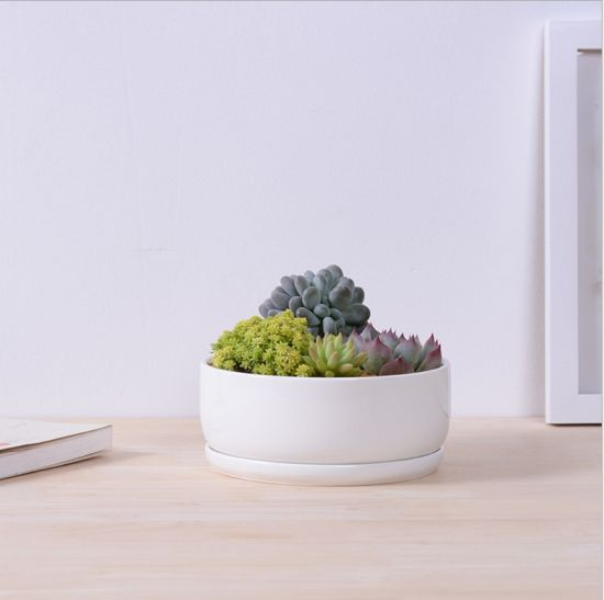 Base circular com grande vaso de cerâmica branca