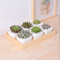 Desktop Cafe 6 Base de madeira Treliça de vaso de flores de cerâmica