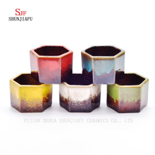 Vaso cerâmico de várias carnes por atacado, bonsais criativos.