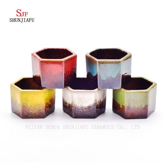 Vaso cerâmico de várias carnes por atacado, bonsais criativos.