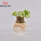 Vaso de cerâmica, ideal para arranjos florais secos em casa, casamentos