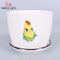 Vaso Cerâmico Plantas Suculentas Vaso Interior Exterior