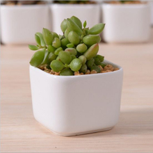 Decoração de mesa criativa Mini vaso de flores de cerâmica branca