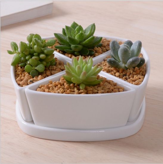Base circular com grande vaso de cerâmica branca